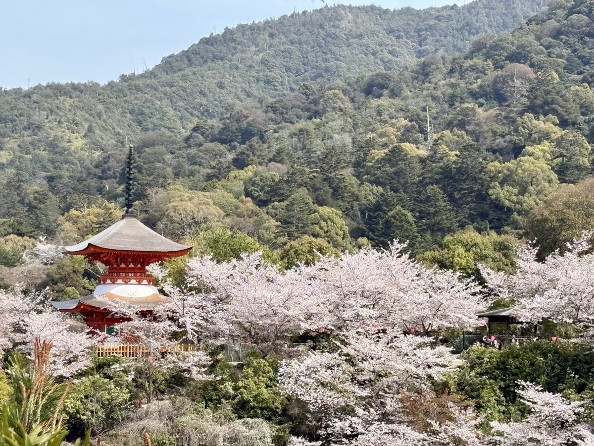 あうら tweet media