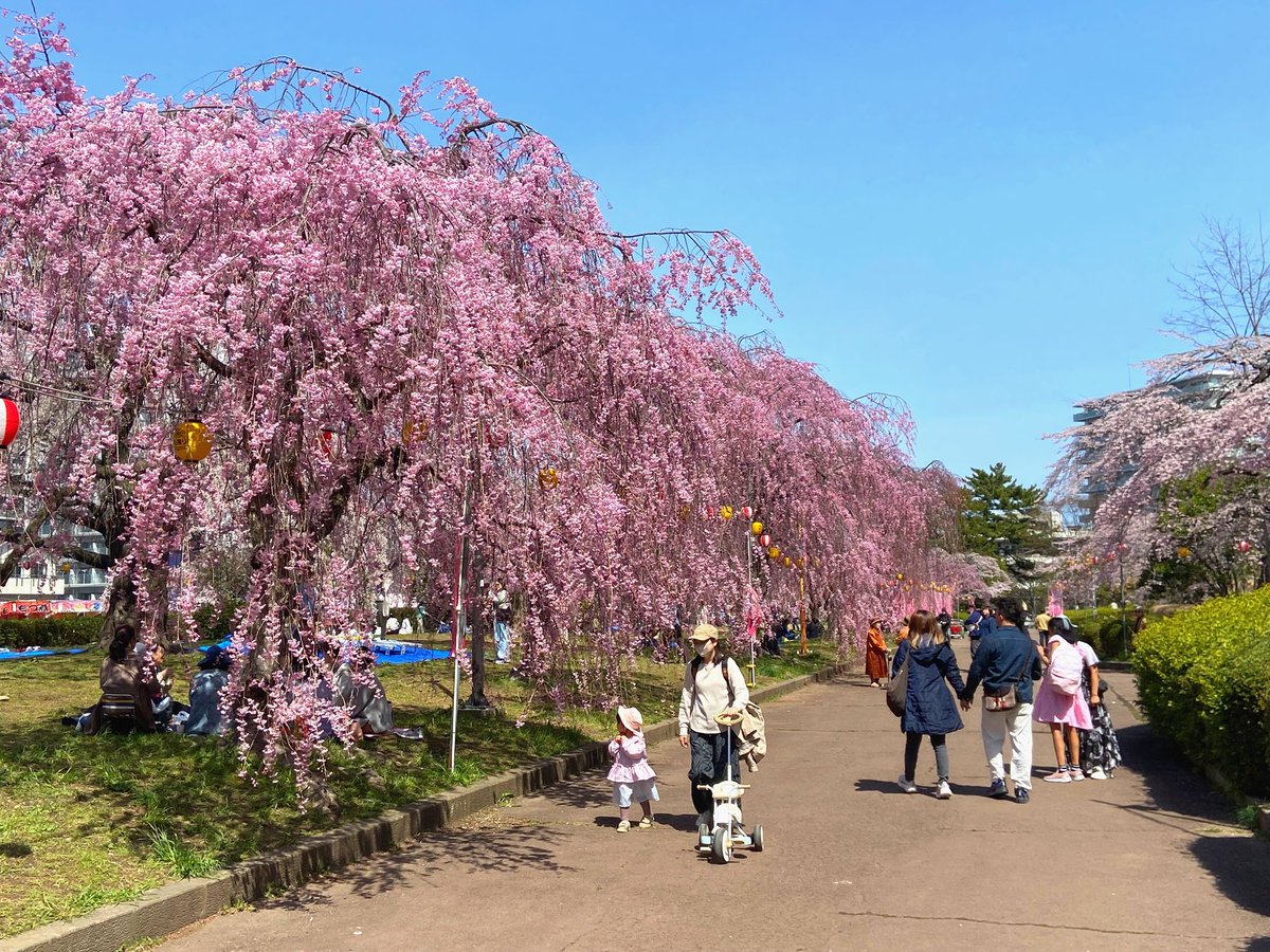 Tanji (タンジ) ／ 宮城県のどこでしょうか？クイズ写真もやってます tweet media