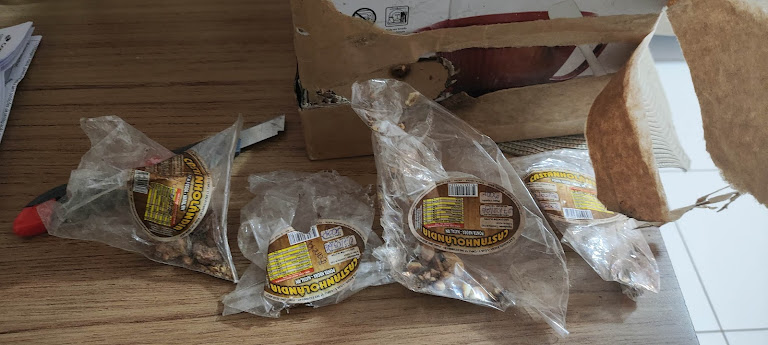 𝓛𝓪𝓾𝓭𝓮𝓵𝓲𝓷𝓸 tweet media