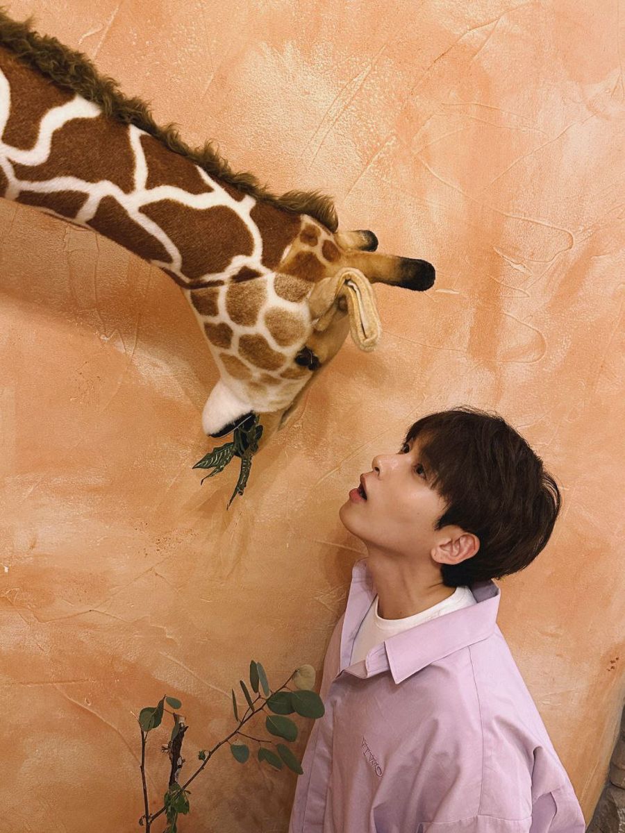 Daily Ryeowook tweet media