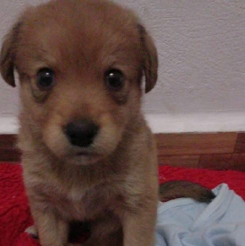 catherine ❤︎s alphonse 𑁍ࠬܓ tweet media