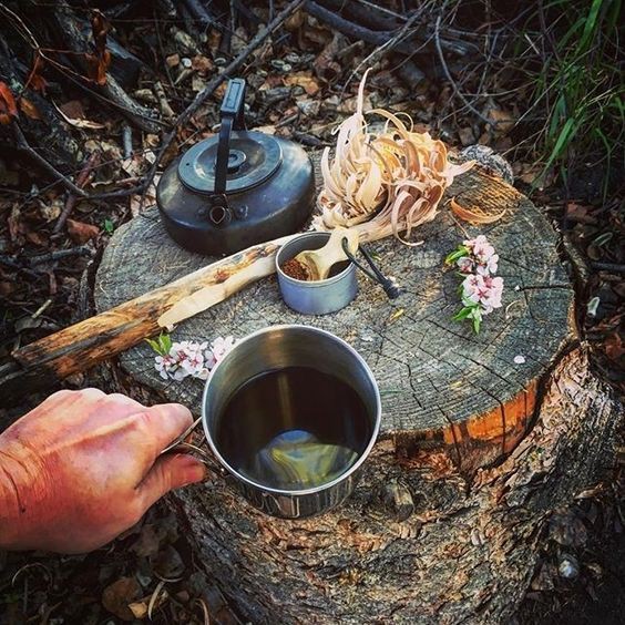 Mest Nick🪩🪩 tweet media