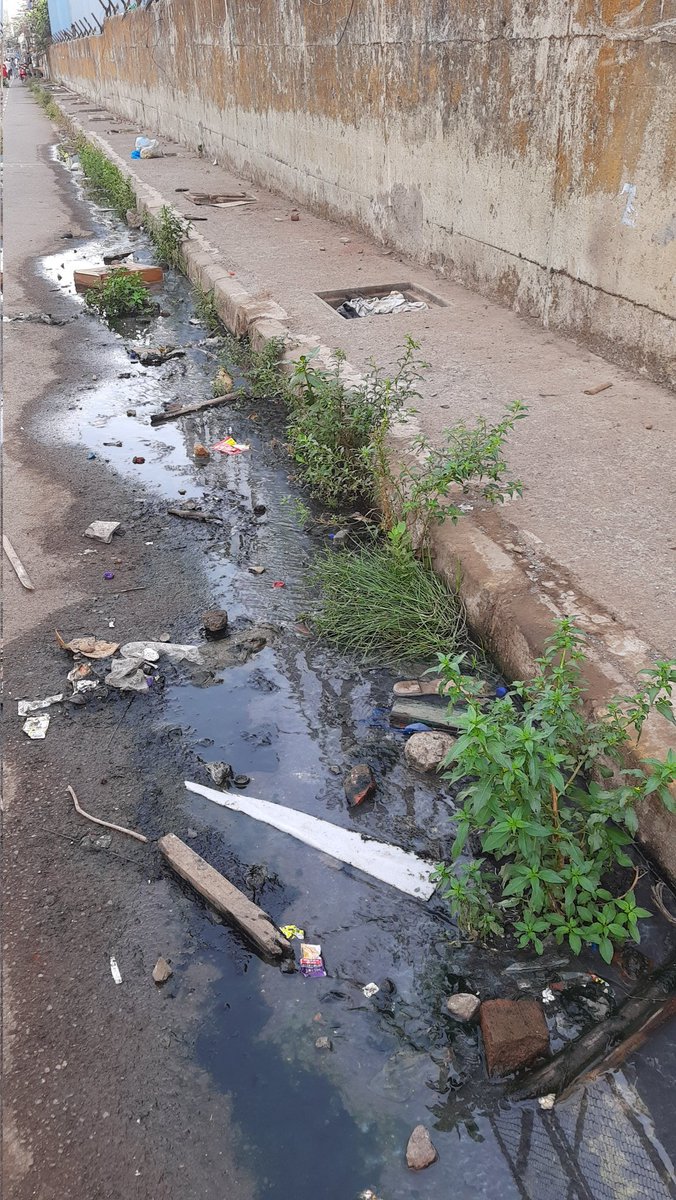 Shrinivas Ohol tweet media