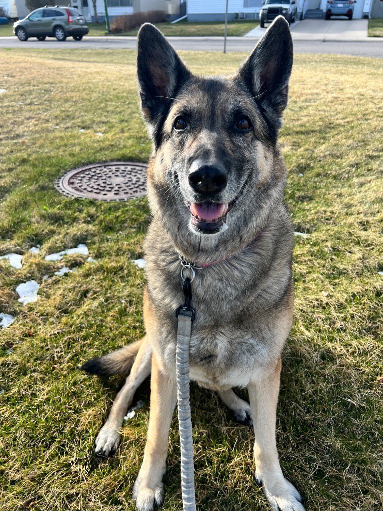 Sheri • Angel🐾 • Rizzo🐾 tweet media