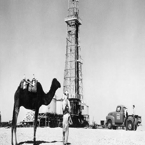 ايمن الشاذلي tweet media