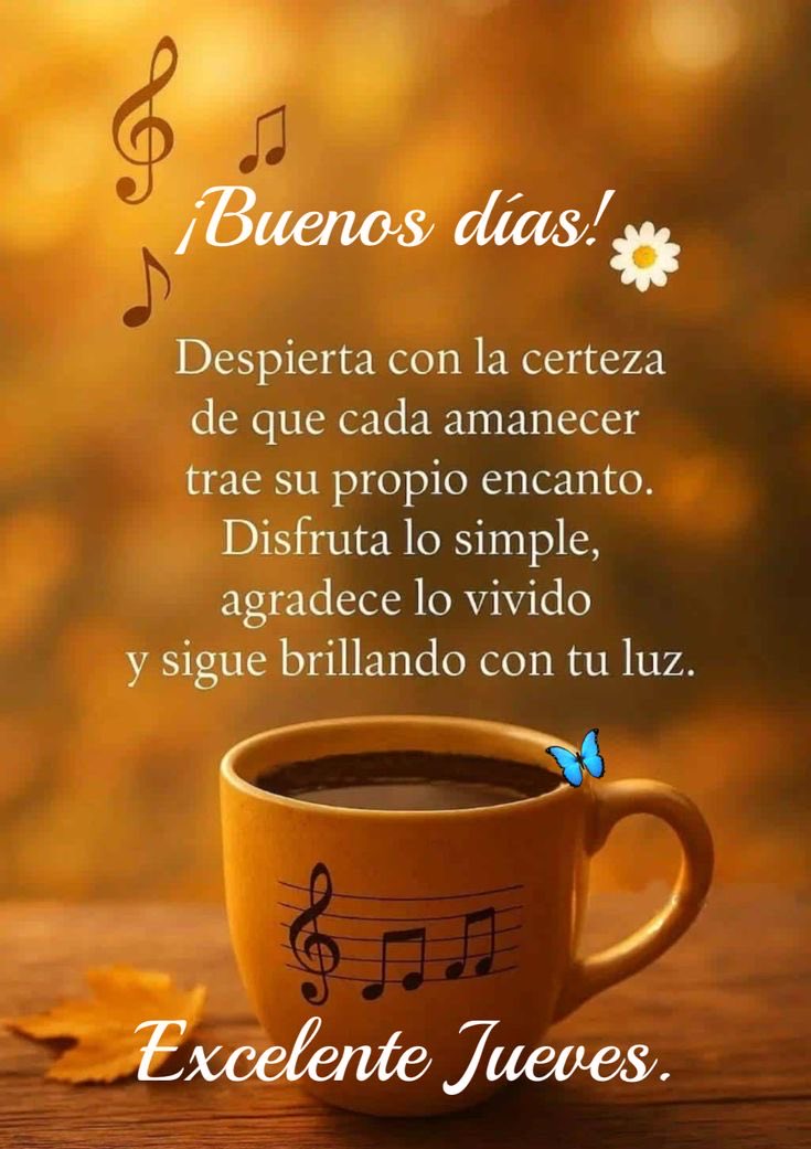 Cecilia  Freire tweet media