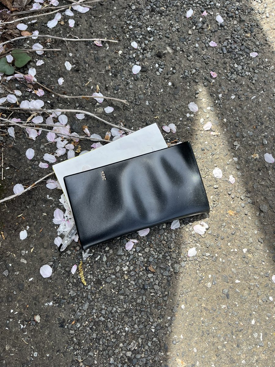 桂竹千代@5月1日より真打昇進披露興行 tweet media