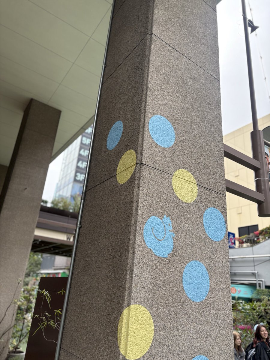 Suu ⚠️プロカ確認お願いします⚠️ tweet media