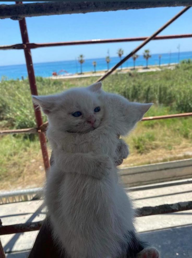 류(상태:동서남북갱뱅) tweet media