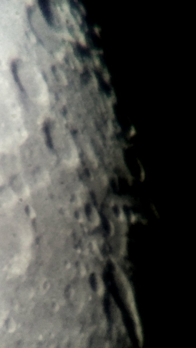 Georitmus 🇮🇩 tweet media