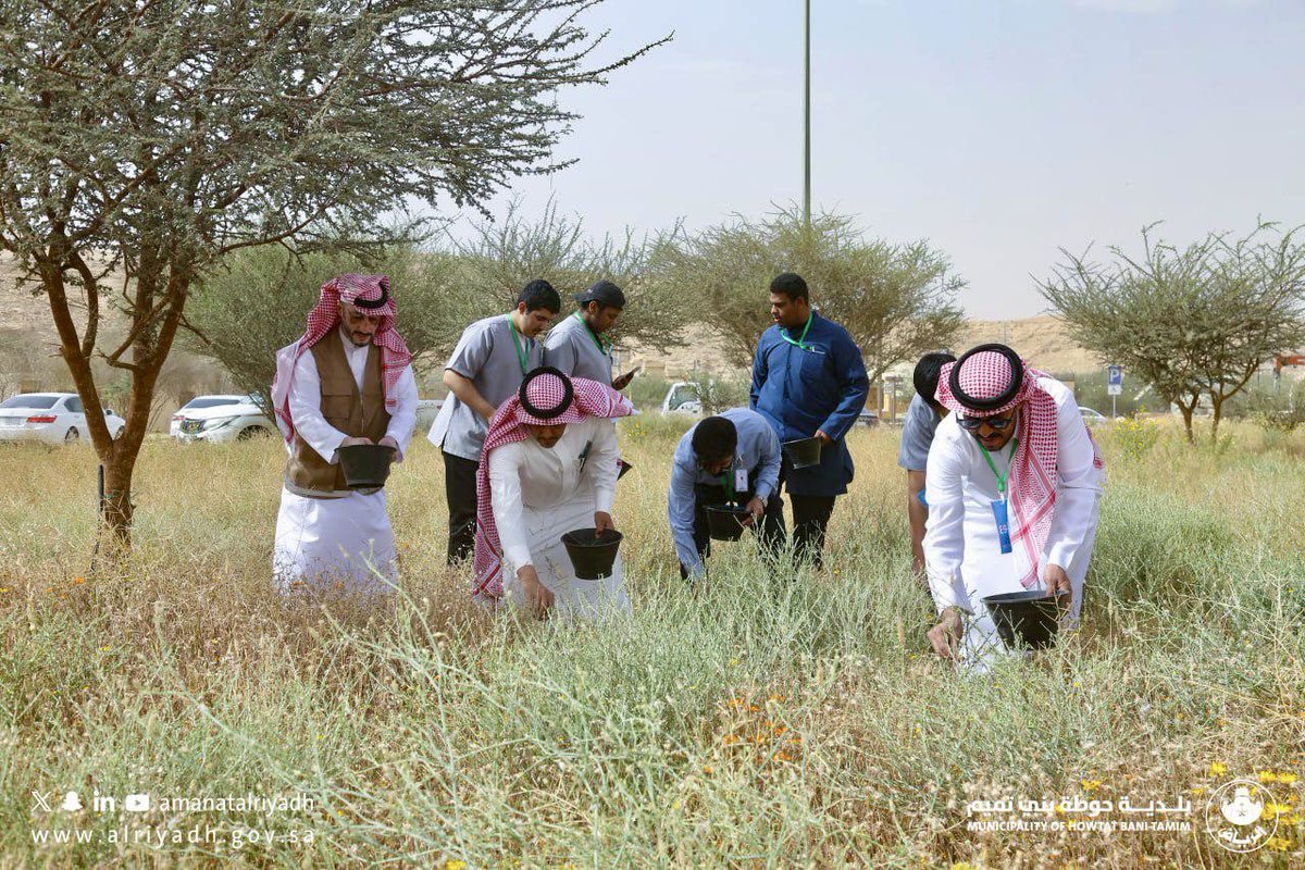 جمعية الحلوة الخضراء tweet media