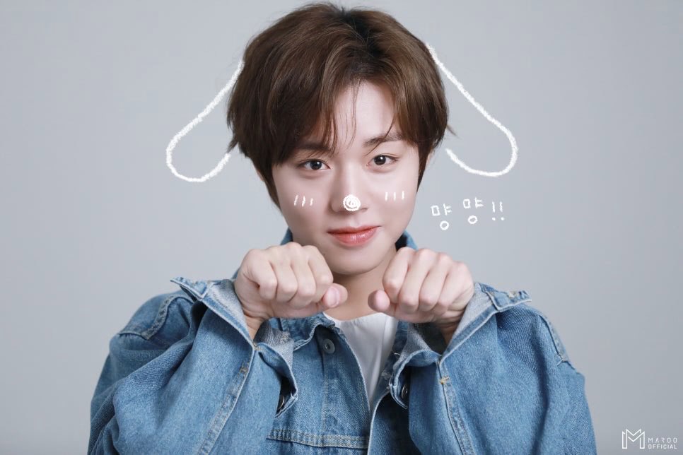 찌 tweet media