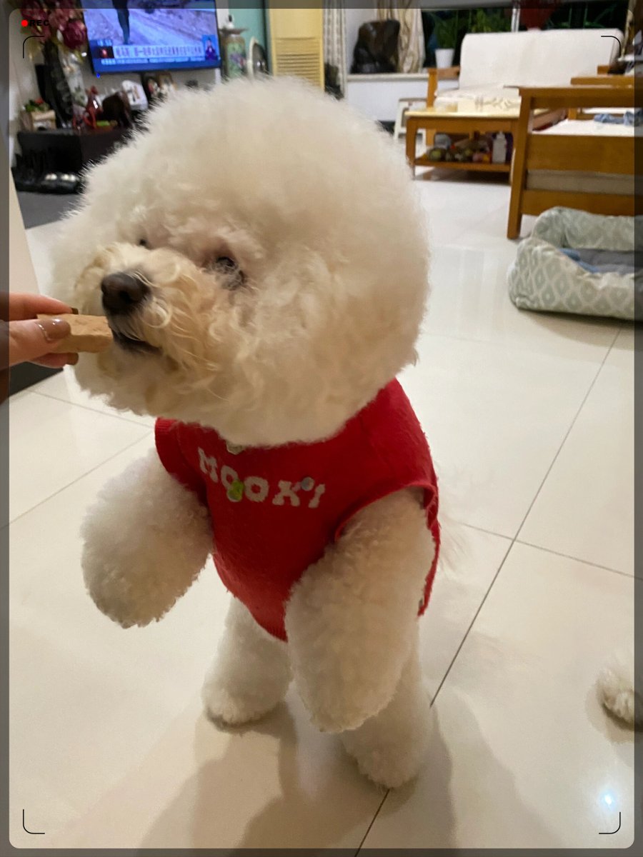 caroline dyrbye beck tweet media