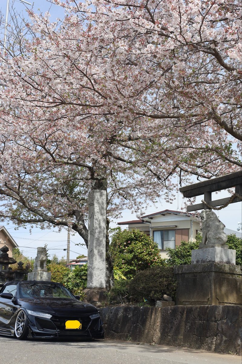 昨日洗車して、スマートキーの電池をやっと交換して気分が良いので
娘と娘の最近の推しの「みみーちゃん」と桜の花びらと枝を拾いのお散歩行ってきた🌸