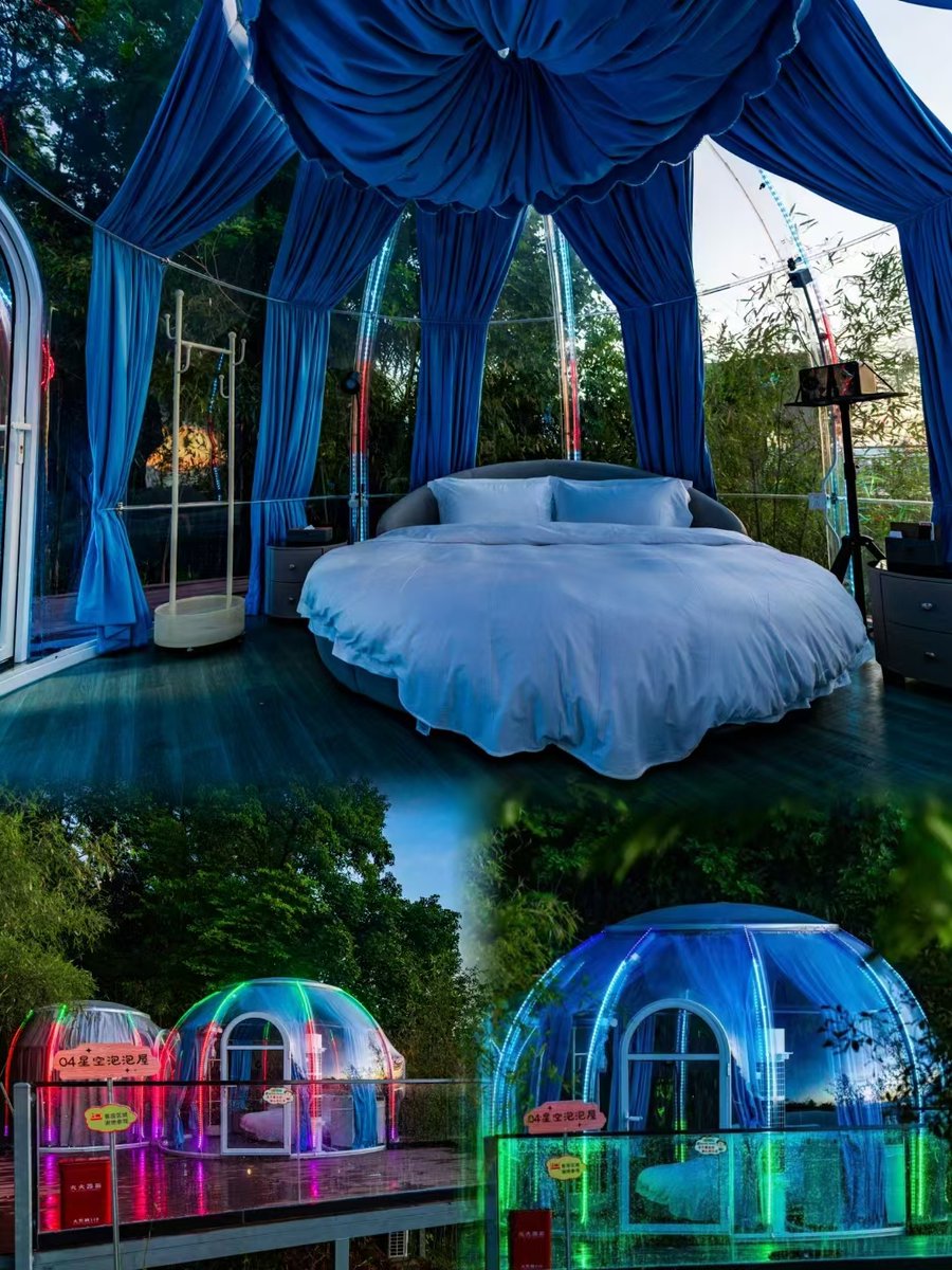 Daniel Hollywood tweet media