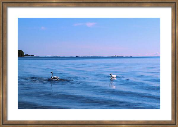 Hurmerinta Art tweet media