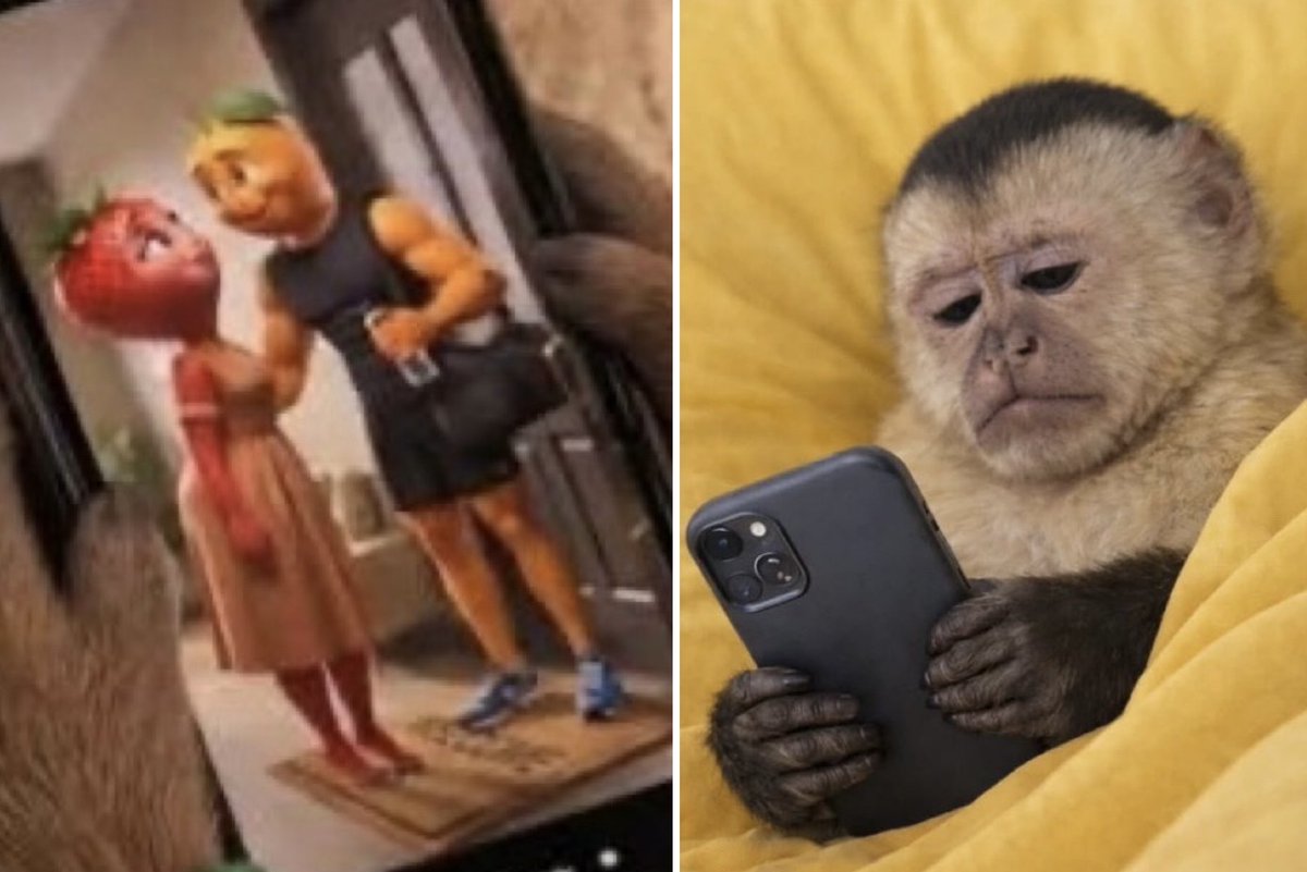 El Guarromántico tweet media