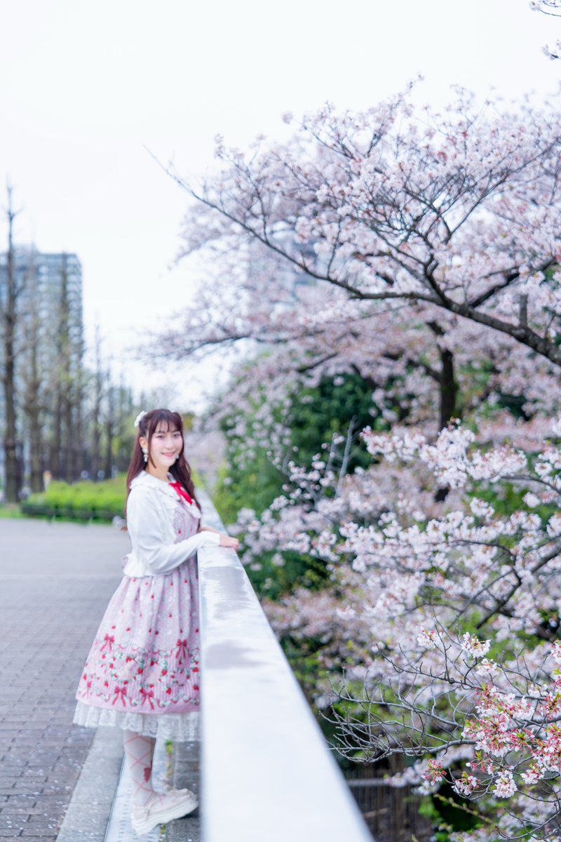 えびたん tweet media