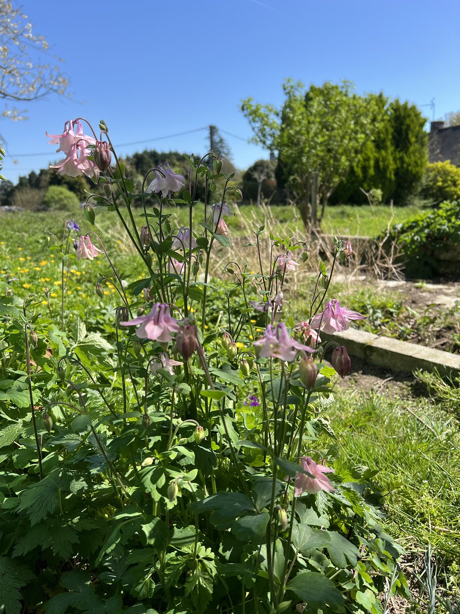 早川🈶 tweet media