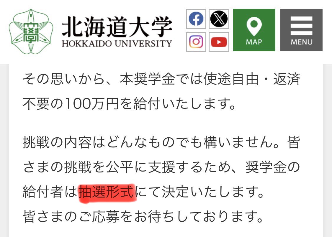 ひるねこ tweet media