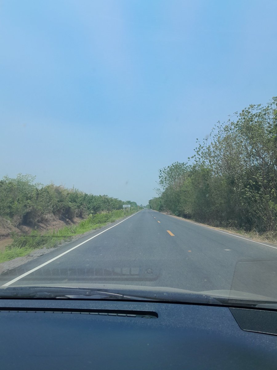 ชายเดี่ยว พิจิตร tweet media