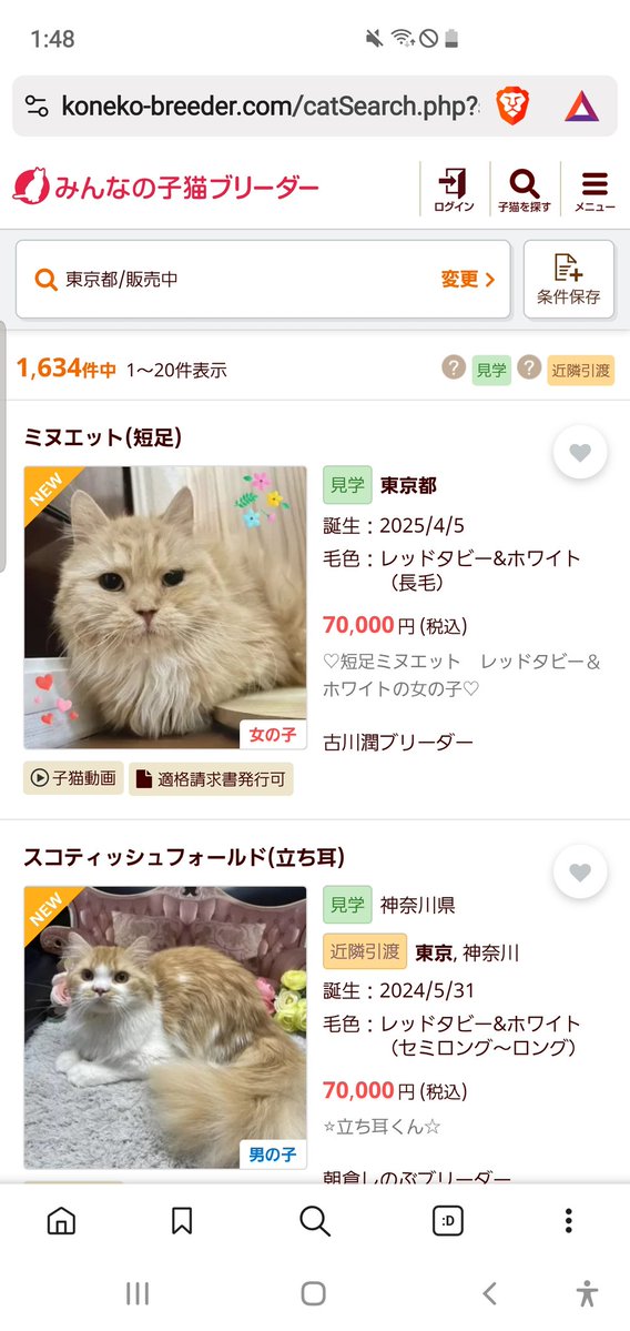 こんちゃーう【第二の垢】 tweet media