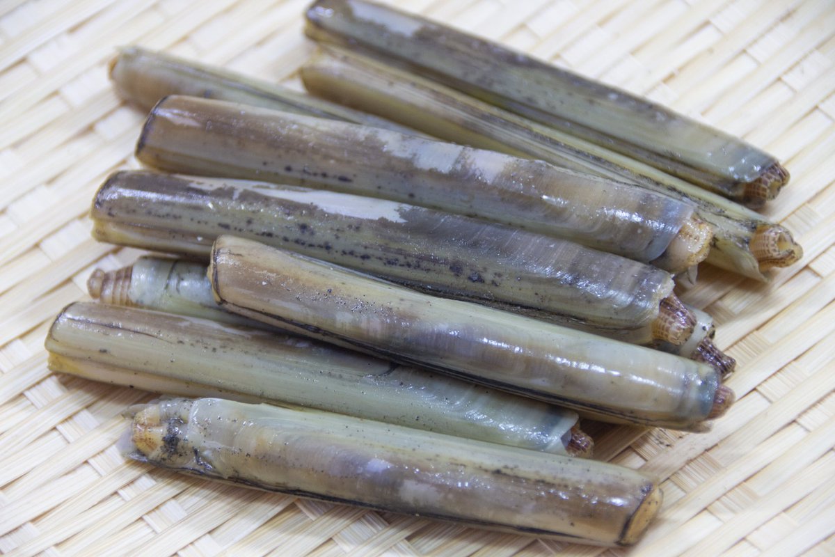 偏屈翁(王) tweet media