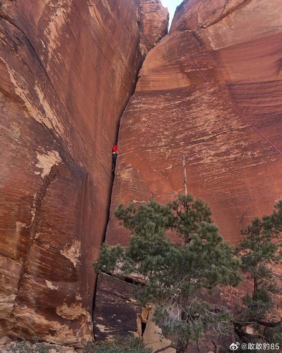 ChristinaDNil's tweet photo. "When the wall feels too high, remember: your 'I can’t' is just a draft—rewrite it to 'I’m trying'... then watch it climb to 'I DID IT.'  #ChallengeAccepted #GrowthMindset" https://t.co/hxD7mYUeZu