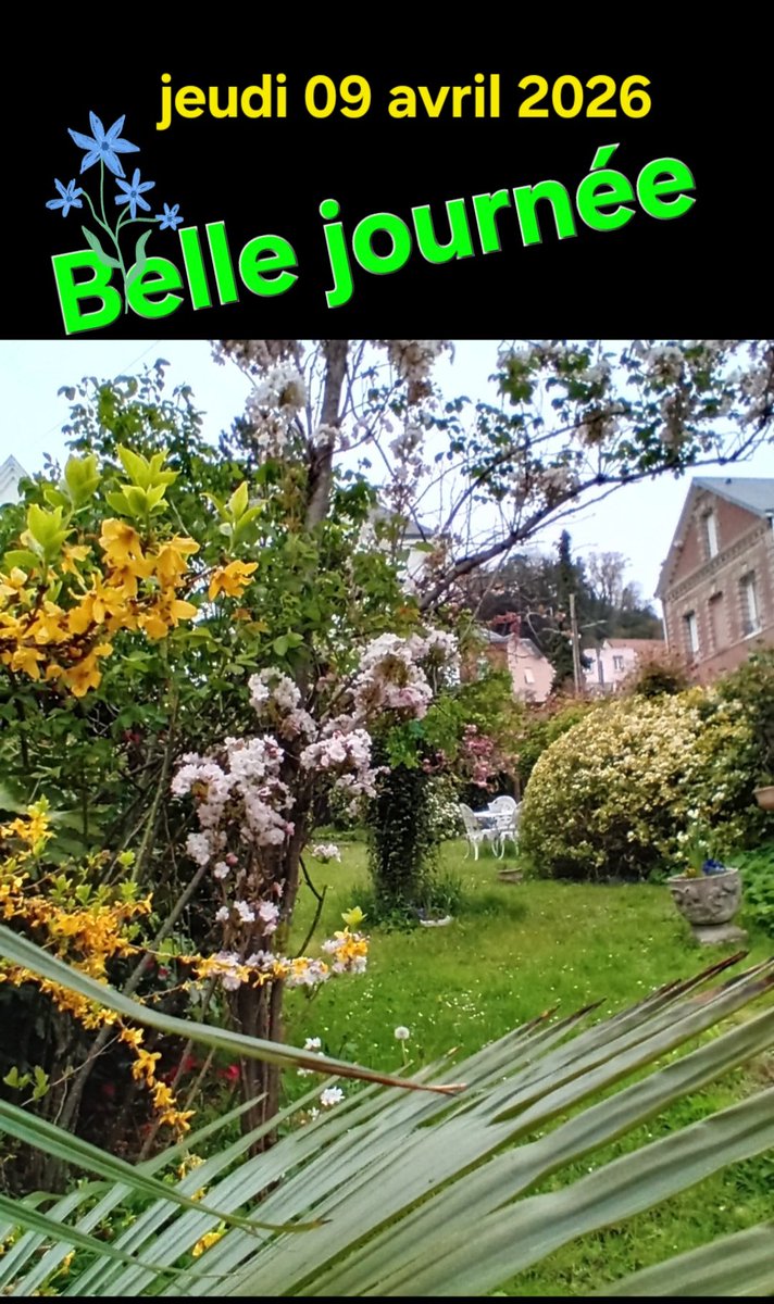 Jean-Luc Deharte tweet media