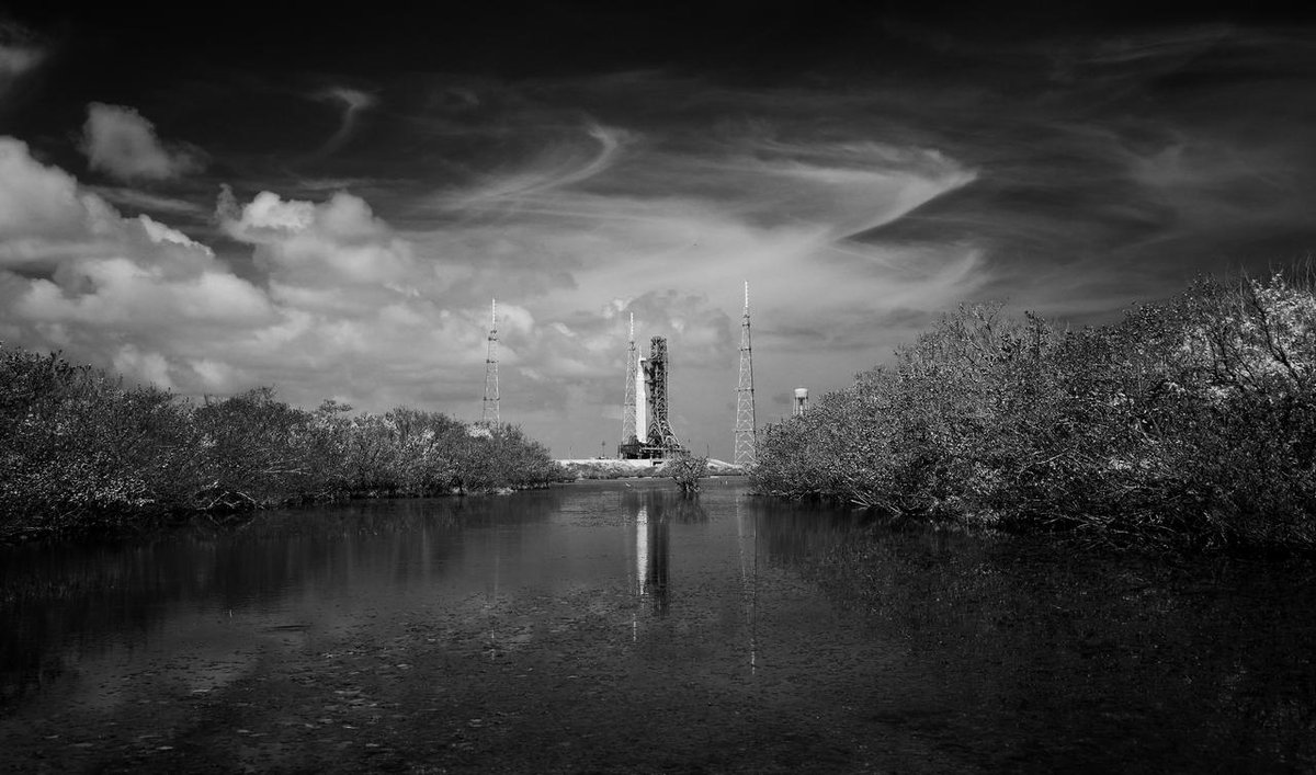 Luke Leisher tweet media