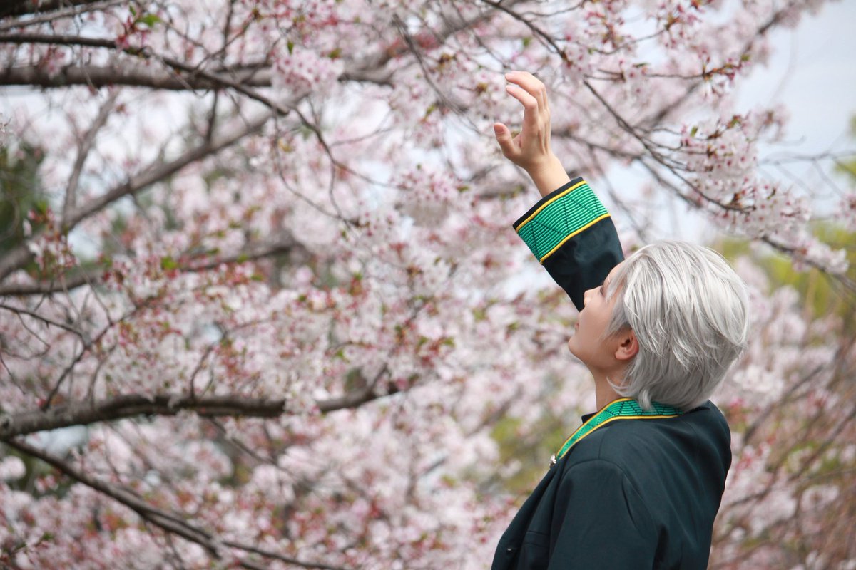 なつのせ🍉 tweet media