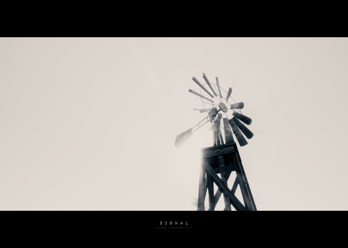 S Ι G N Λ L tweet media