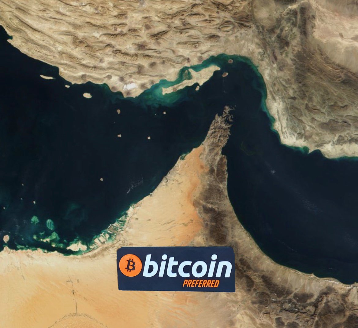 Lord Koty Capital ᓚᘏᗢ tweet media