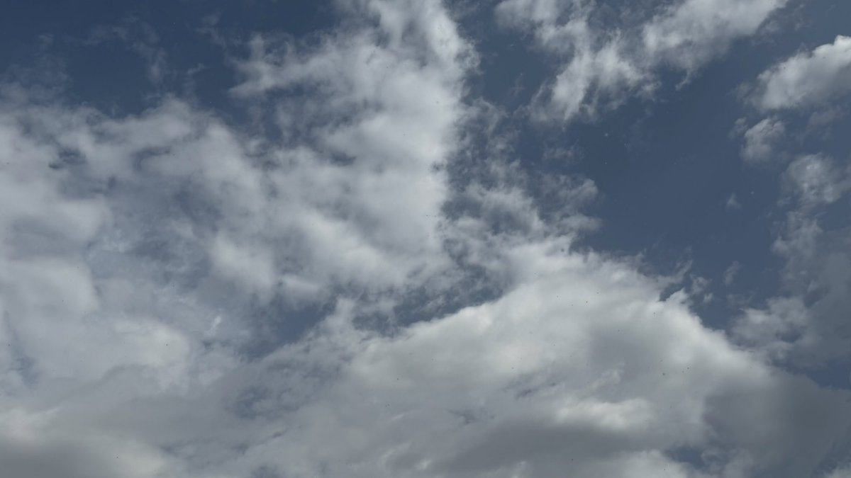 هنـد tweet media