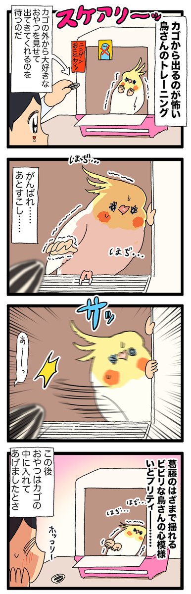 えるぽぴ ▶︎4/4,5 鳥フェス広島,大宮 tweet media