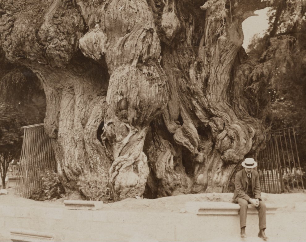 Julio Arellano tweet media