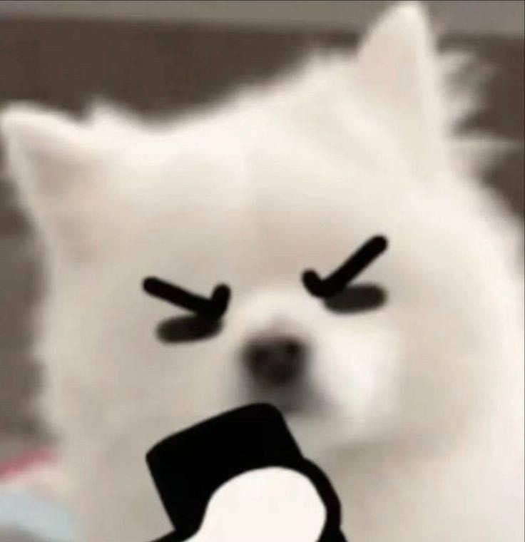 สือกวงลูกเขยมาคุยกันหน่อยสิมาๆๆ
#บันทึกเกล็ดจันทร์ #VeilOfShadows