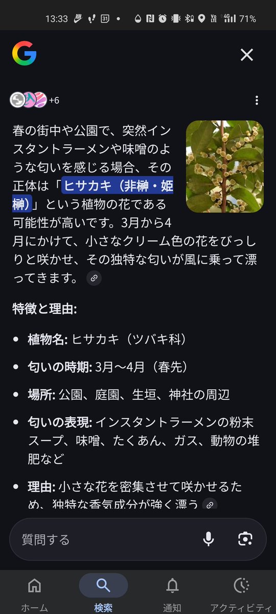 坂田俊明🍃🥜 tweet media