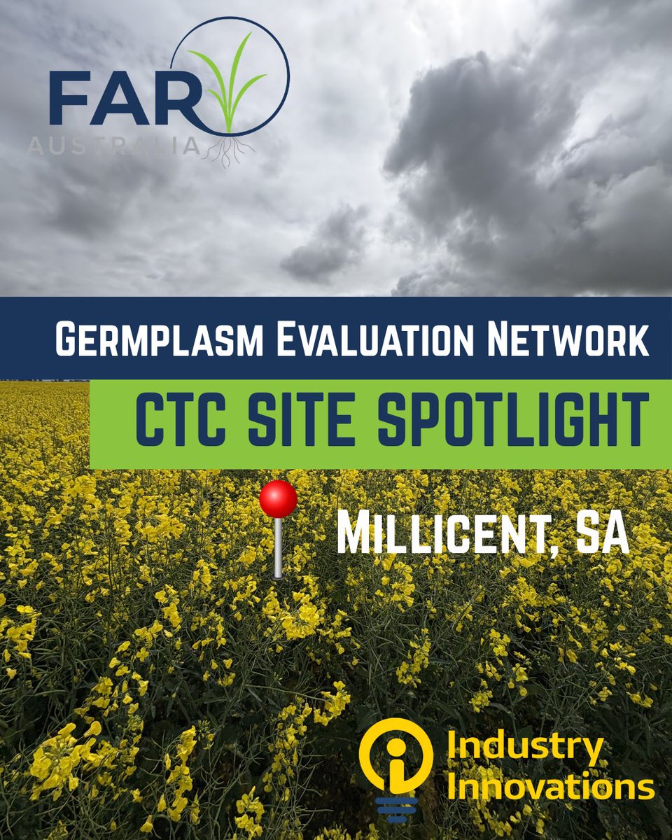 FAR Australia tweet media