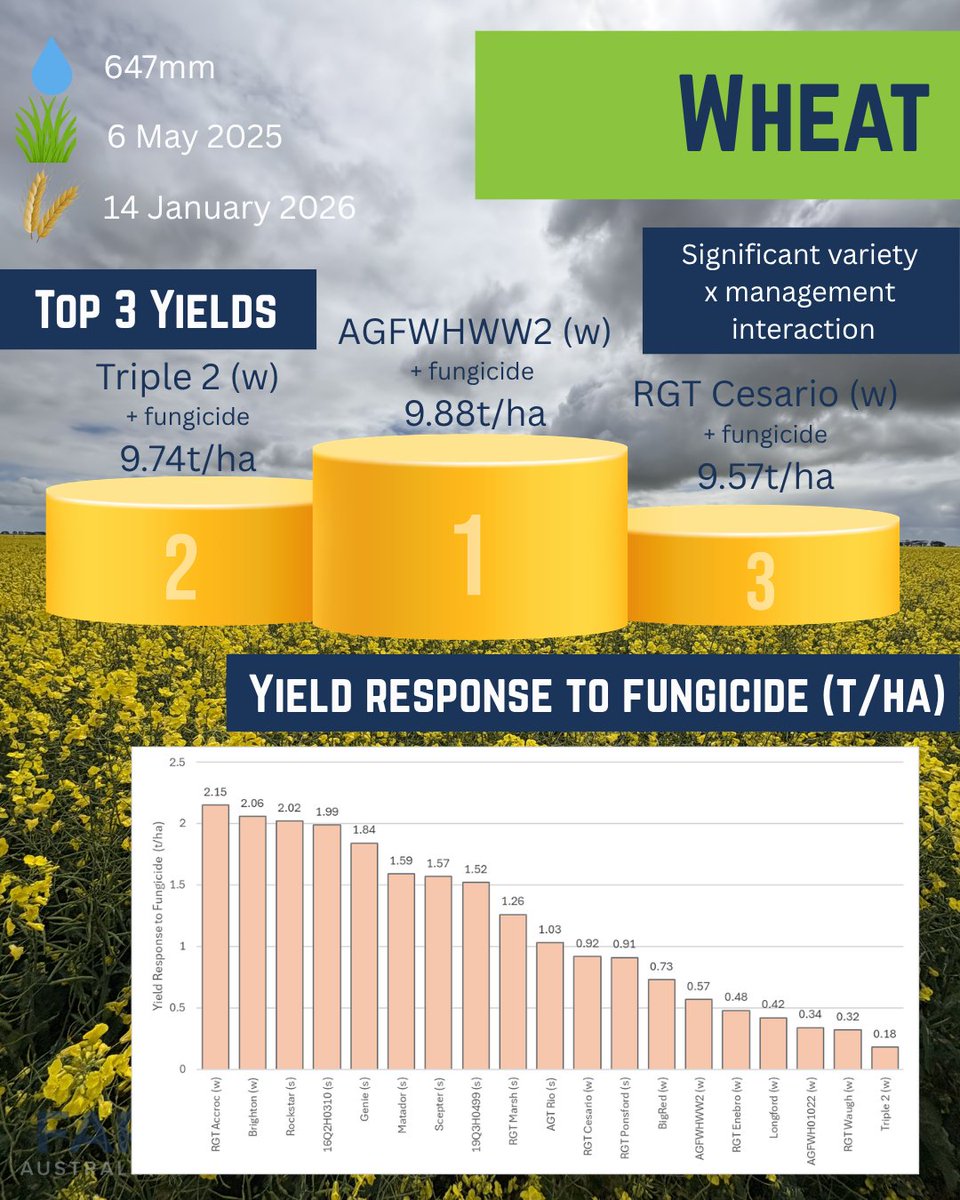 FAR Australia tweet media