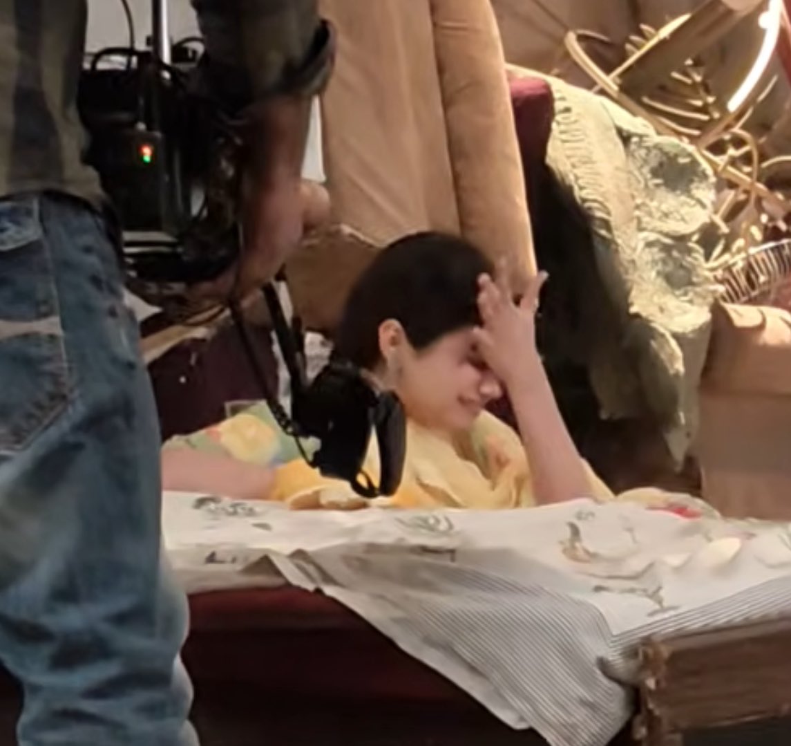 birdies in the sky tweet media