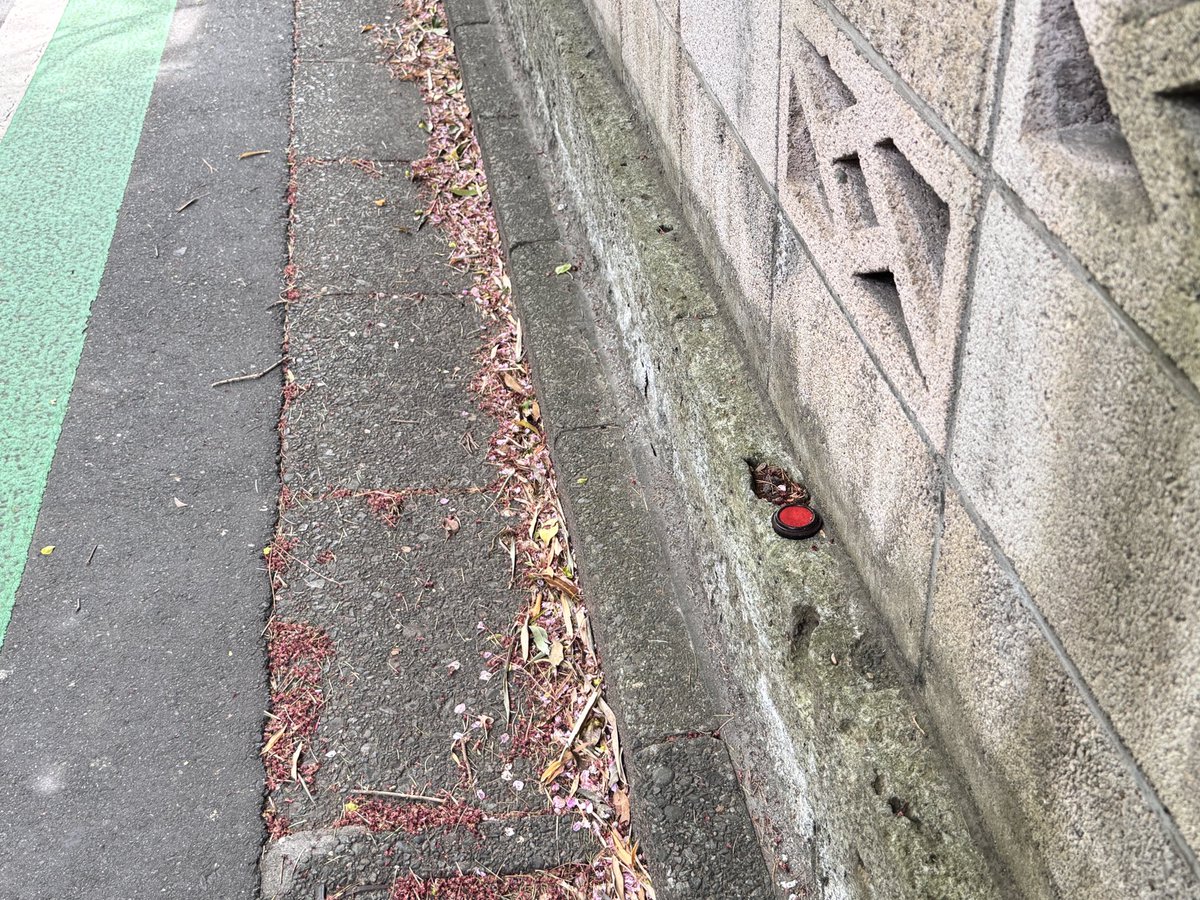 本橋隆司/大衆食研究中 tweet media