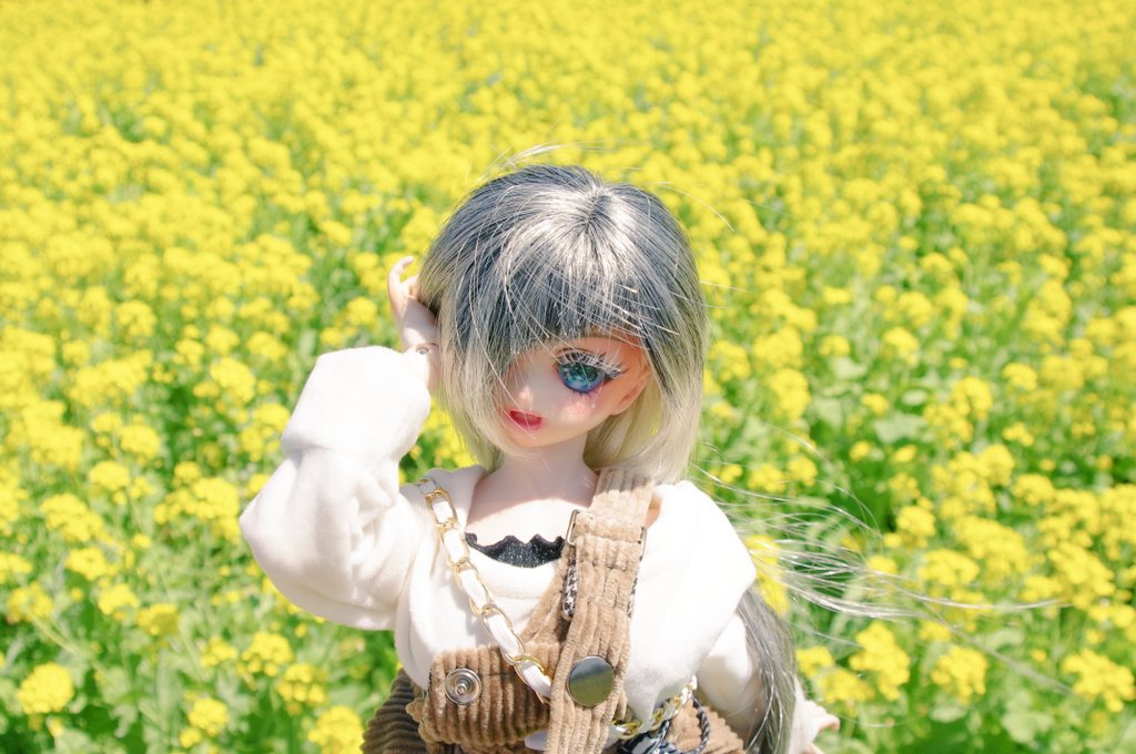 ＼(^q^)まにゃ＠お昼寝雑貨店(^q^)／ tweet media