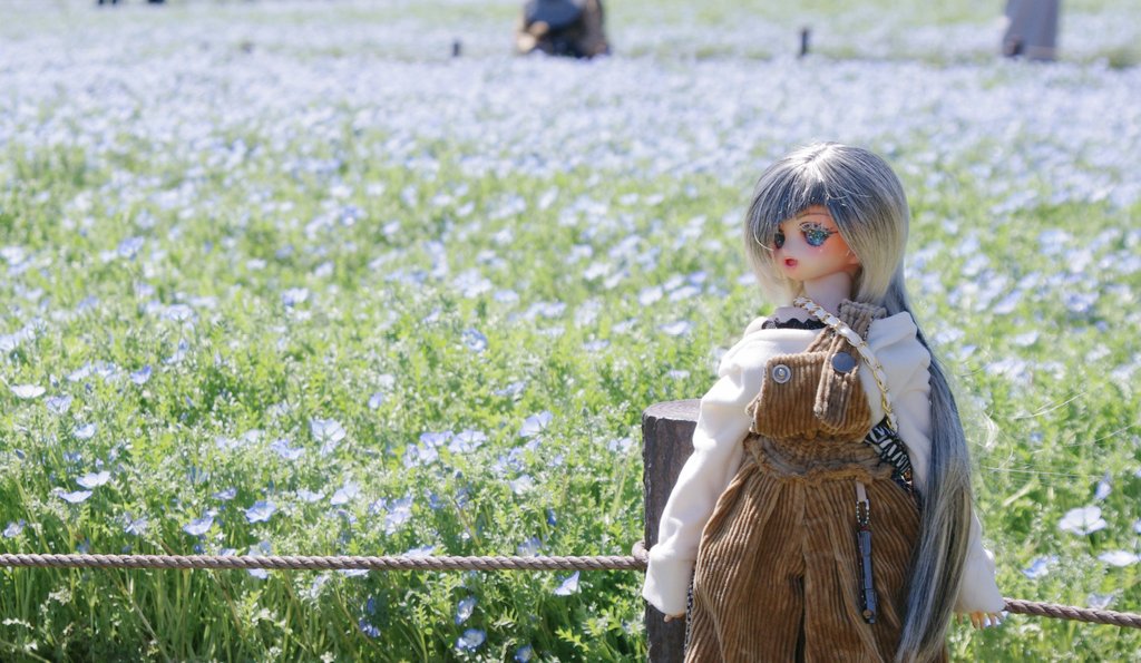 ＼(^q^)まにゃ＠お昼寝雑貨店(^q^)／ tweet media