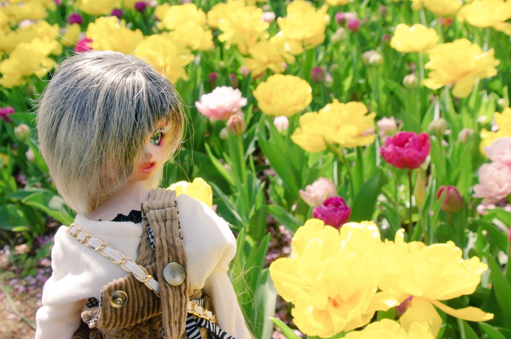 ＼(^q^)まにゃ＠お昼寝雑貨店(^q^)／ tweet media