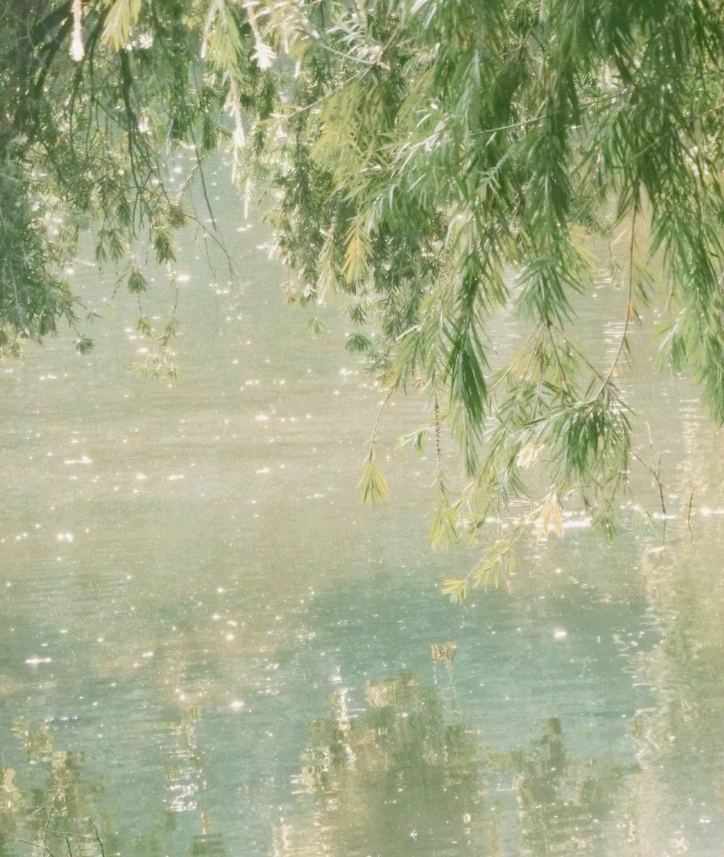 𝓑 — ౨ৎ‧₊˚ tweet media