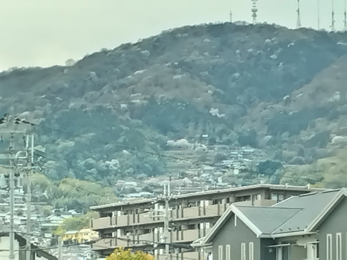 ちゃちゃママ tweet media