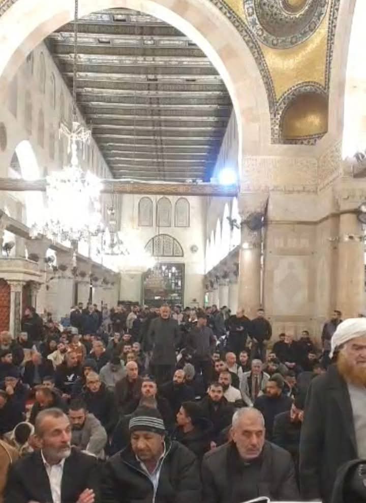 firstqiblah's tweet photo. 🟢 Fajr Salaah scenes from Masjid al-Aqsa https://t.co/RuX8wJabPu