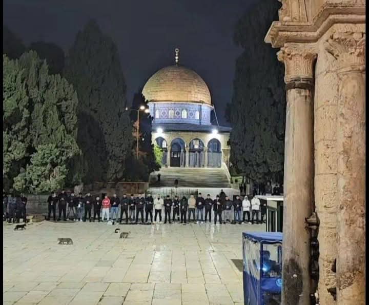 firstqiblah's tweet photo. 🟢 Fajr Salaah scenes from Masjid al-Aqsa https://t.co/RuX8wJabPu