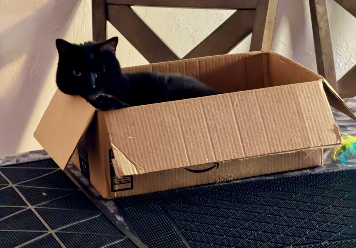 God Bless America tweet media